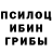 Псилоцибиновые грибы Psilocybe zxcdomenit