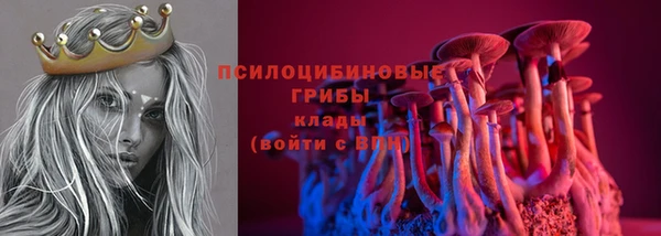 тгк Алексин