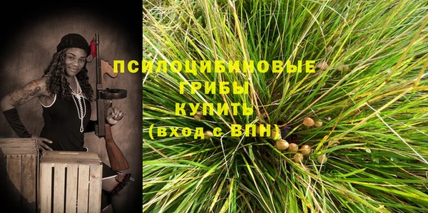 тгк Алексин