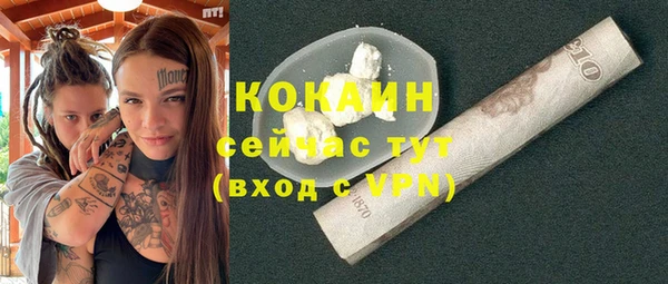 тгк Алексин