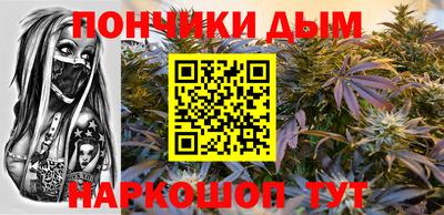 шишки Кинель