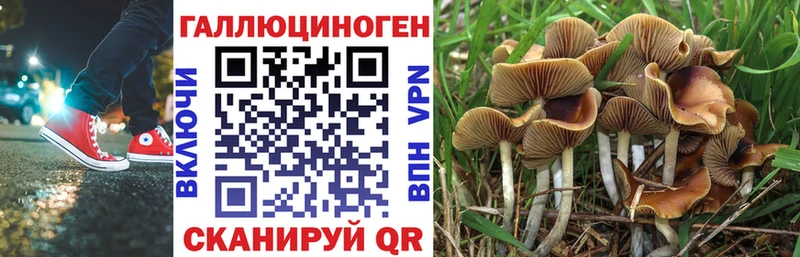 omg маркетплейс Кириши Галлюциногенные грибы Psilocybe купить наркоту